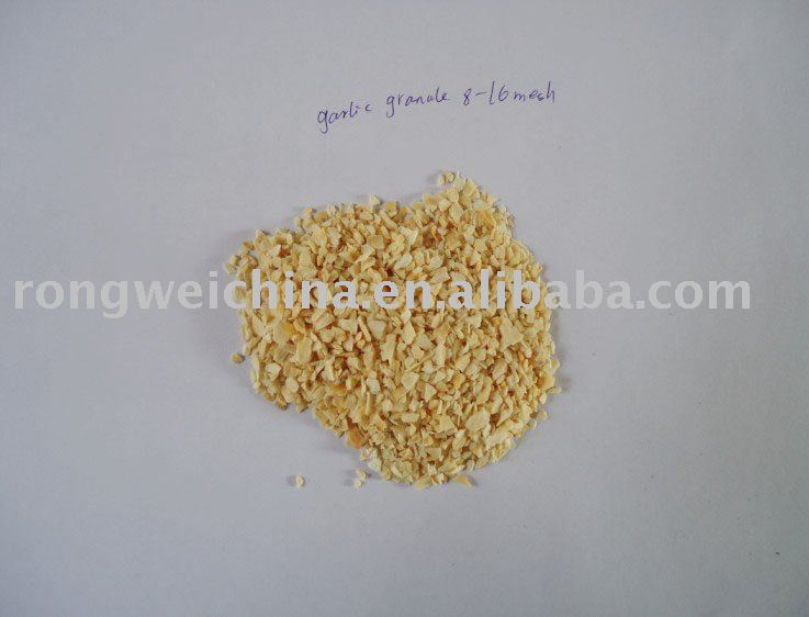 Dried white  Garlic granule G4 8*16mesh 2011crop