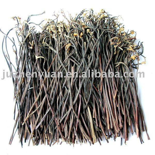 Dried Fern,China OEM price supplier - 21food