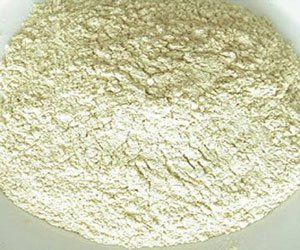 Satikuwar Exports Dehydrated Onion Powder