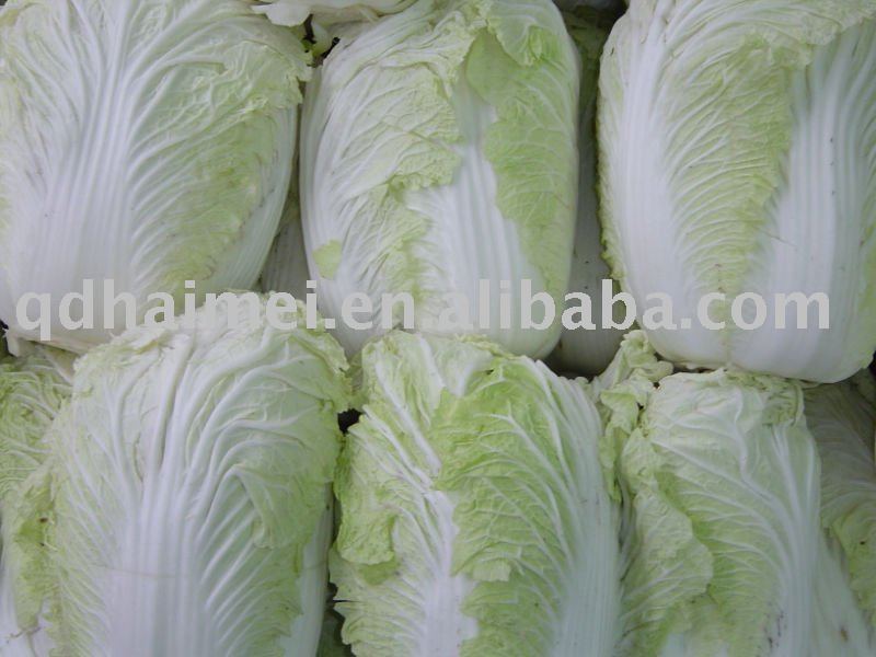  chinese   organic  red   cabbage 