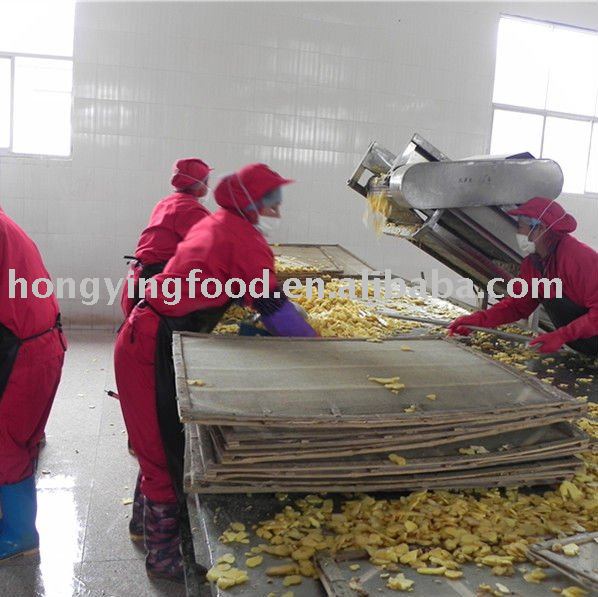Chinese Dehydrated Ginger Slices Using for Spices
