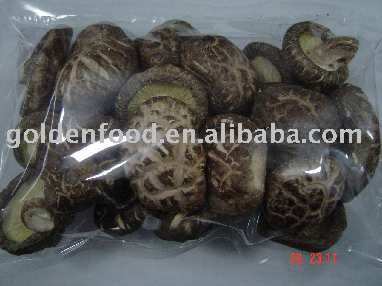 dried wild mushroom whole