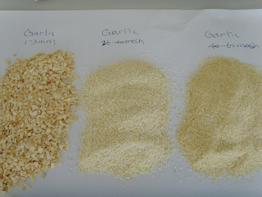 dry garlic flake