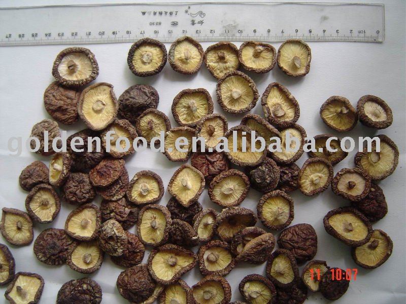 chinese dried mushroom whole
