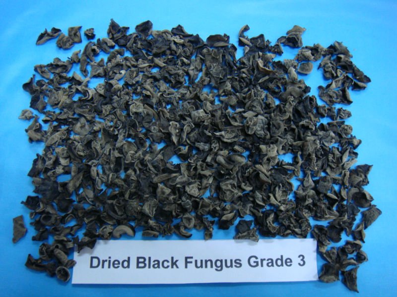 Dried black fungus