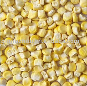 Freeze  dried   corn 