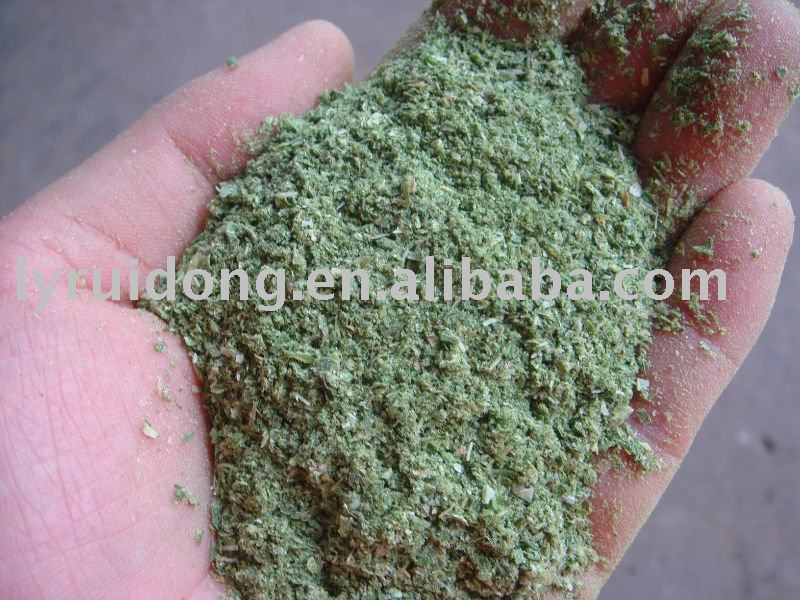 dried scallion powder