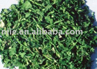 Dried Chinese parsley
