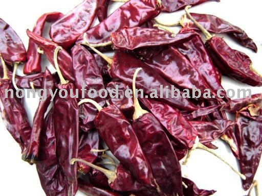 jinta chilli 2nd grade