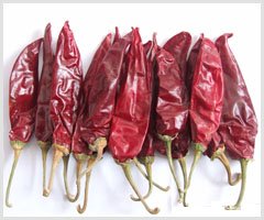 red American chili