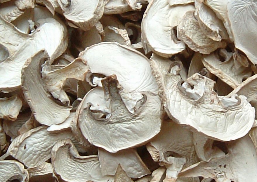 dried mushroom slices