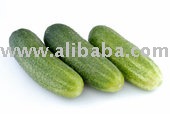 Cold Dried Cucumber Powder