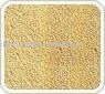 Toasted Onion Powder