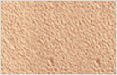 Dehydrated Toasted Onion Powder