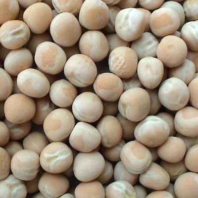  Dry   Peas 