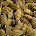 Herbs/Green Cardamom