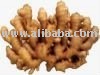 Dried and  fresh   garlic , ginger ,leecs, ginger 