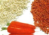 Dehydrate  Vegetables   Carrot  Flake/Granule/Ring (DC)