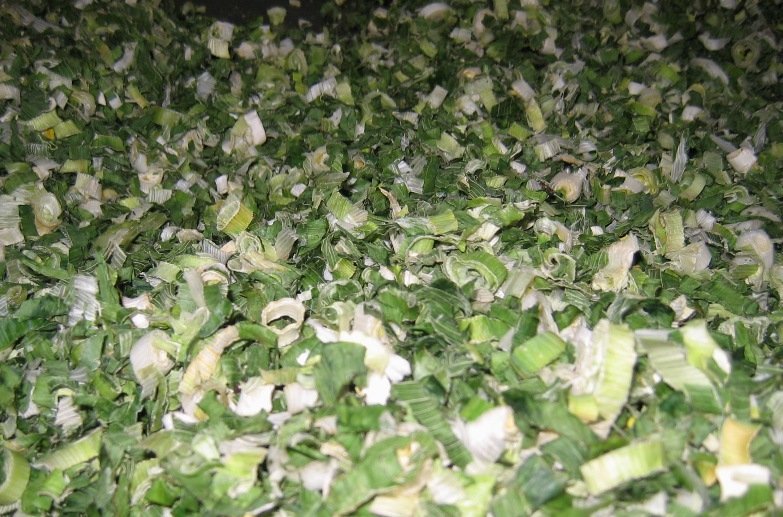 Dehydrated Green Onion