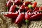 dry Chillies