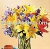  Lily   Flower s