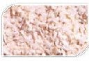 Dehydrated White Onion    Garlic 