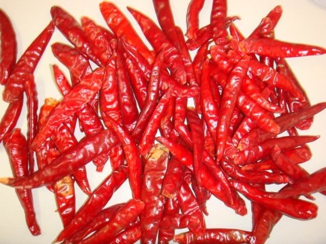 Red Chilli With Best Price