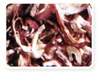 Dehydrated Onion Kibbled