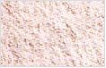 White Onion Powder
