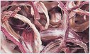 red onion Ring