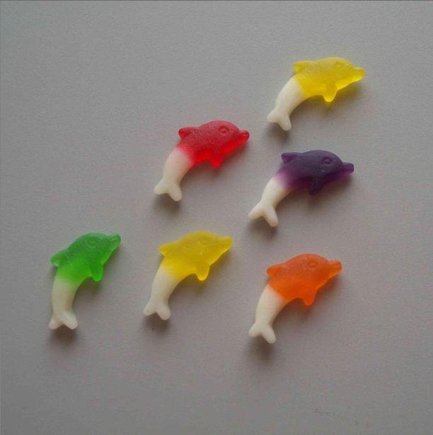 Dolphin Soft Candy