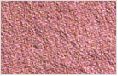 Red  Onion  Powder