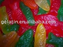  Fish  Animal Shape  Candy 