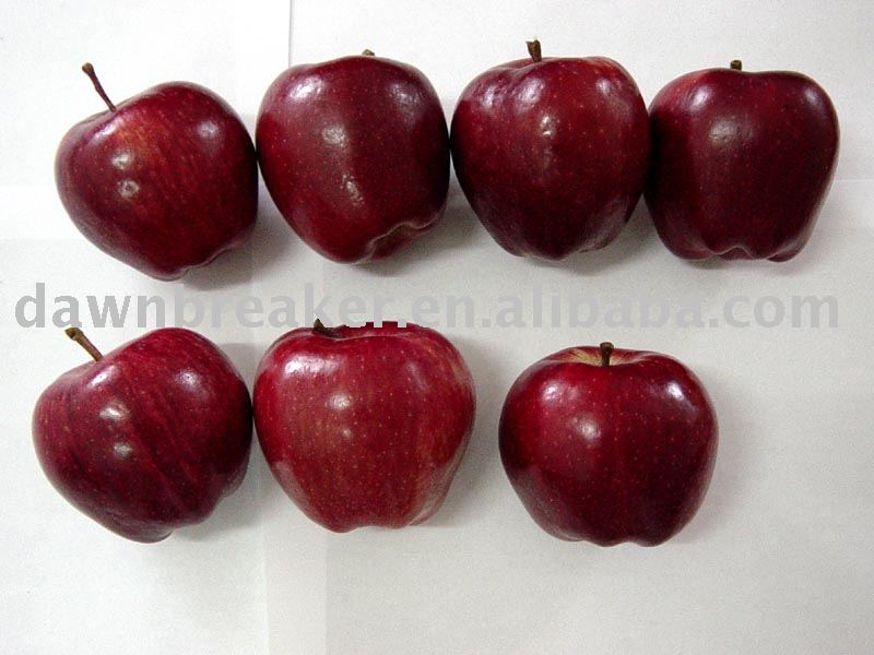 chinese apple( huaniu apple/red apple)