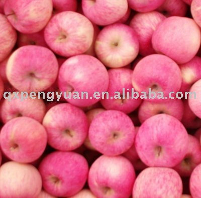 2011   fuji   apple 