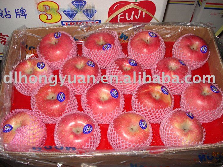 fuji apple