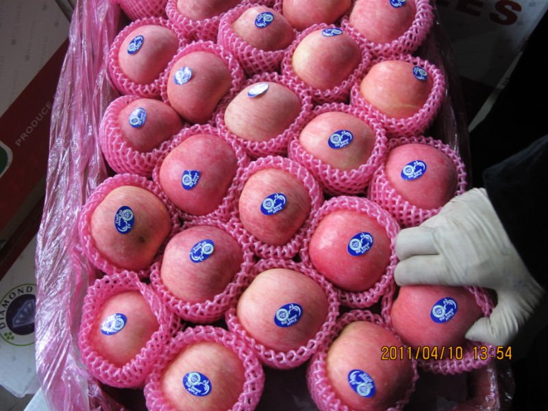 125 yantai red fuji apple