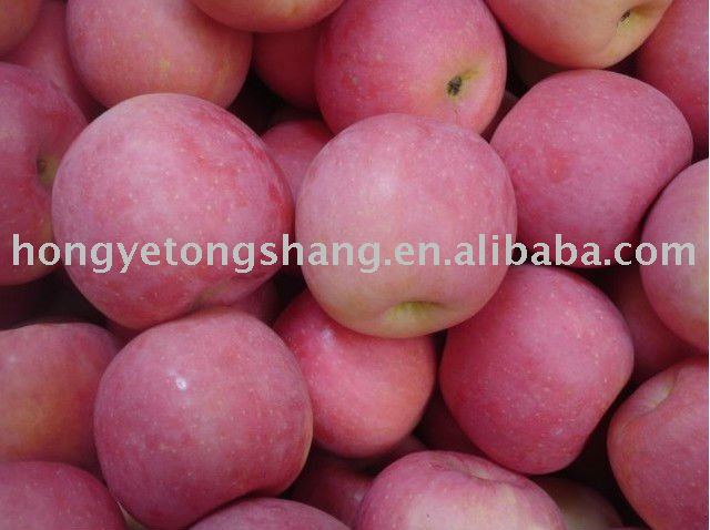 China Red Apple