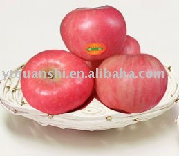Yantai Fuji Apple