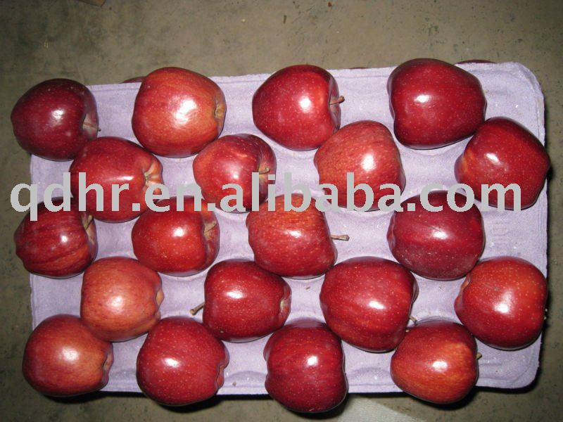 Fresh Fuji Apple