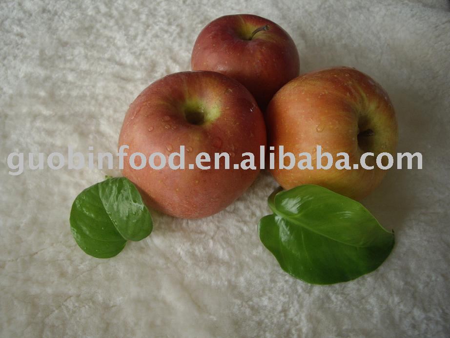 Fresh Fuji  Apple