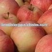 FUJI Apple