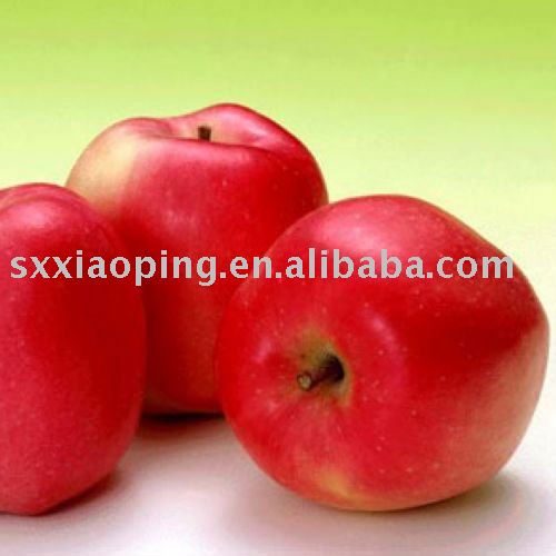 Fresh  top red star apples