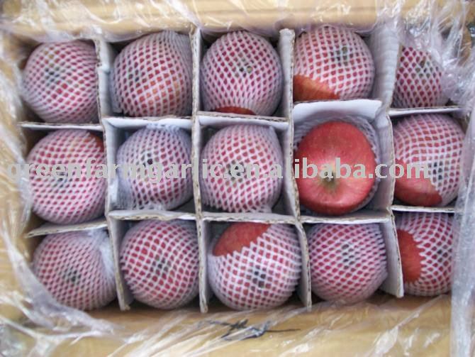 Red Fuji Apple,Fresh Apple