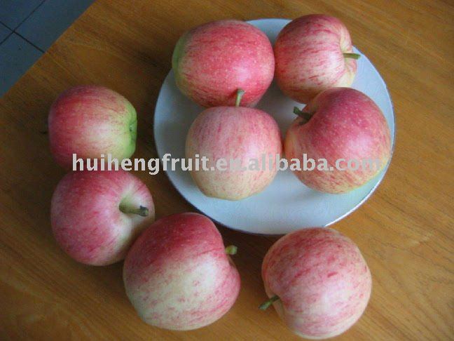 Gala Apple