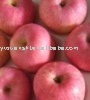 redi fuji apples