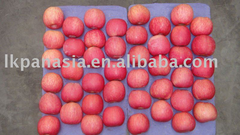 Bagged Fuji Apple