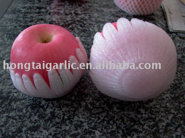 fuji apple