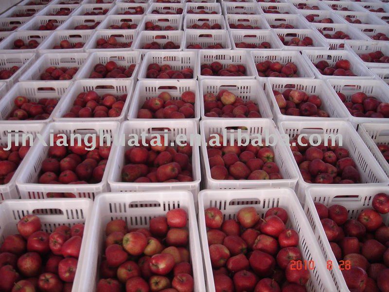  red    huaniu   apple 