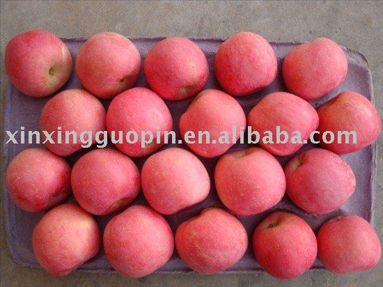 Fuji Apple